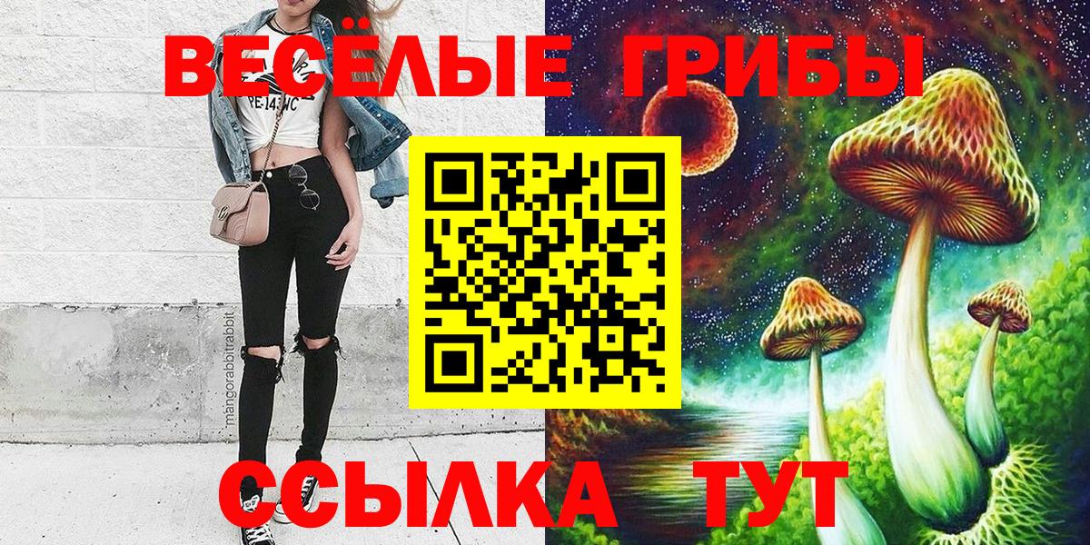 Галлюциногенные грибы Psilocybine cubensis Кудымкар