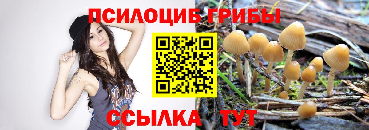 Псилоцибиновые грибы мухоморы  наркошоп  Кудымкар  Галлюциногенные грибы мицелий  Вход с VPN 